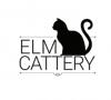Photo for ELM Cattery