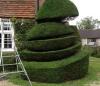 Photo for Get The First Class tree Surgeon in West Sussex