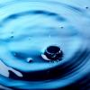 Photo for Fluorochemicals Market: Global Industry Analysis, Size, Share, Growth, Trends, and Forecasts 2016–2024