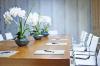 Photo for How to Make Your Co-worker Happy by Gifting Flowers