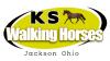 Photo for KS Walking Horses