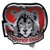 Photo for Superior Detail
