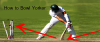 Photo for How to Bowl Yorker - CricketBio