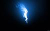 Photo for POWERFUL MOON LOVE SPELLS +27739506552 Dr Anna Stephan