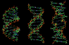 Photo for Market status and development trend of Biochemical Sensors Market