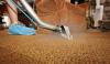Photo for Questions to Ask Before Hiring a Carpet Cleaning Professional