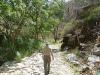 Photo for Kumbhalgarh National Park