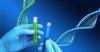 Photo for The Impact of Digital Transformation on Precision Medicine Industry