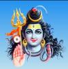 Photo for Astrologer Ankush Sharma