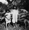 Photo for XTAJ AND THE SUN - A Mayan fable as retold by Don Kissil
