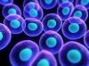 Photo for Cell-Based Regenerative Medicine Market: Examinations of industry