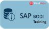 Photo for Learn SAP BODI Training Real-Time Experts