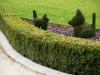 Photo for Flood Lawn Services