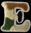 Photo for Chenille Embroidery Designs