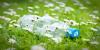 Photo for Green And Bio Polyols Market Is Expected to Earn a Significant Growth of Its Revenue Owing to Demand and Supply