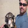 Photo for Dogological