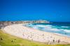 Photo for Bondi Beach Business Listing Directory