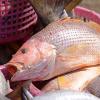 Photo for Grenada Lake Charters