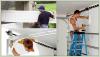 Photo for Garage Door Repair Masters Naperville