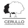 Photo for Cerullo Landscape and Irrigation