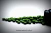 Photo for Chlorella market is anticipated with healthy growth rate at 5.4% CAGR to 2023
