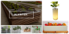 Photo for Global Planter Market to Witness Unprecedented Growth in Coming Years to 2022