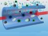 Photo for Antimicrobial Coatings Market - Global Industry Insights, Trends, Outlook, and Opportunity, 2016-2024