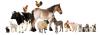 Photo for Global Animal Parasiticides Market Supply-Demand, Industry Research, End User Analysis And Outlook Till 2017-2023