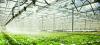Photo for Greenhouse Irrigation System Market Is Expected to Be Benefitted from Increasing Demand from Small and Medium-Sized Enterprises