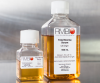 Photo for Global Fetal Bovine Serum Market Forecast to 2023
