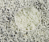 Photo for Global Long Glass Fiber Reinforced Polypropylene Market Forecast to 2023