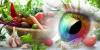 Photo for Global Eye Health Supplements Market Research Report 2017
