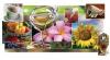 Photo for Flavors & Fragrances Market worth 24.13 Billion USD by 2022