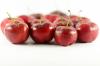 Photo for Acerola Extract Market derivation and observation on the basis of its size, rates and forecast