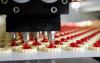 Photo for Food Automation market: Increase Productivity, Quality and Consistency