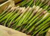 Photo for Prebiotic ingredients market: In detail report analysis for its health benefit future forecast
