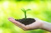 Photo for Soil Conditioners Market Prediction For Next 5 Year, Estimated Growth For CAGR Of 8.0% Calculated