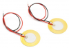 Photo for Global Piezoelectric Market Forecast to 2023