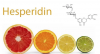 Photo for Global Hesperidin Market Forecast to 2023