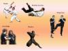 Photo for McKinney TX Karate Dojos