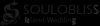 Photo for Soul O Bliss Entertainment