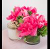 Photo for Get The Best Indoor Plants In Toronto-The Flower Project