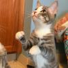 Photo for June's Pet Resort