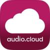 Photo for Save your audio files or messages from WhatsApp