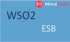 Photo for Skills That You Can Learn From Wso2 ESB Course