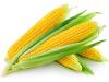 Photo for Global Corn Combine Harvester Machine Market Report 2022 Focuses On Top Companies, Research Methodology, Drivers and Opportunities