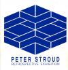 Photo for MY FRIEND ; Peter Anthony  Stroud . VISUAL ARTIST
