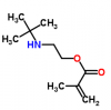 Photo for Global 2-(Tert-Butylamino) Ethyl Methacrylate Market Forecast to 2023