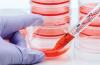 Photo for Global Cell Culture Market is Expected to Experience Immense Growth During 2018 – 2025