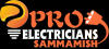 Photo for Pro Electricians Sammamish
